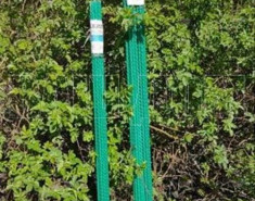 Садовые колья